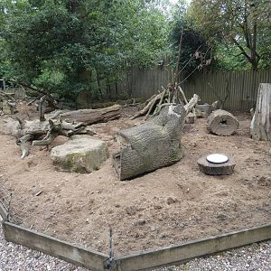 Meerkat enclosure