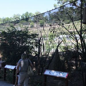 Tasmania exhibit - Aviary