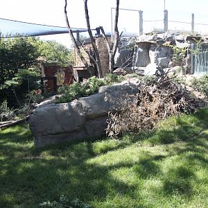 Tasmania exhibit - Parma wallaby exhibit