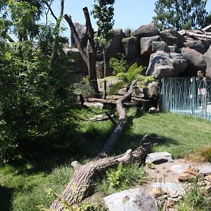 Tasmania exhibit - Cape barren goose exhibit