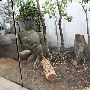Tasmania exhibit - Echidna exhibit