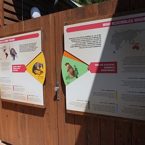 Tasmania exhibit - educational board