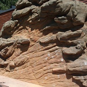 Tasmania exhibit - Rock painting