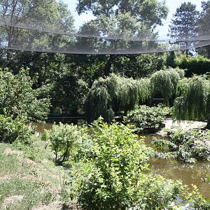 Reworked waterfowl aviary