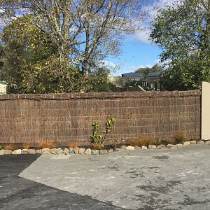 Nepalese Red Panda Exhibit (Off Display)