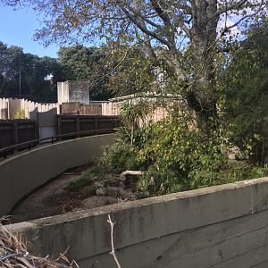 Nepalese Red Panda Exhibit (Off Display)