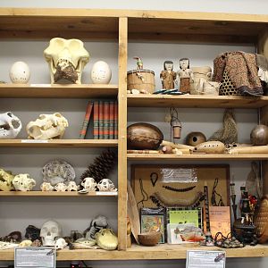 Native American Artifacts