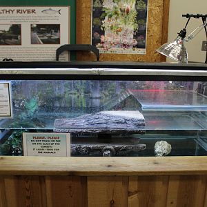 Alligator Tank