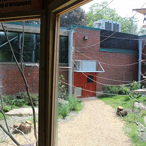 View of New Spider Monkey Enclosure