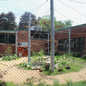 View of New Spider Monkey Enclosure