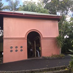 Historic Giraffe House