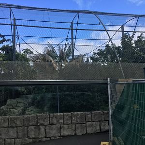 Sumatran Tiger Exhibit