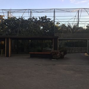 Sumatran Tiger Exhibit