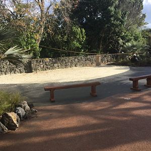 Macaw Training Stage