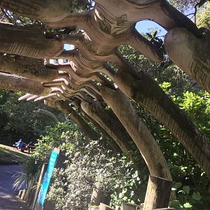 Entrance to Te Wao Nui - The Coast