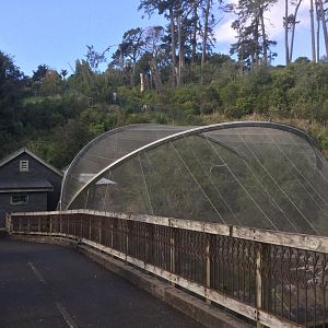 Te Wao Nui - The High Country
