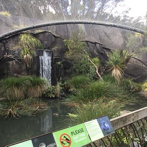 Te Wao Nui - The Wetlands