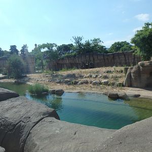 2020: New lion exhibit