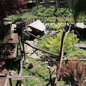 Viewing issues at Beauval: Cross-viewing