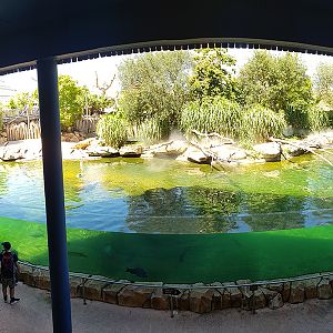 Hippo aviary panorama