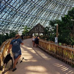 Tropical dome panorama