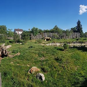 Wolf enclosure panorama
