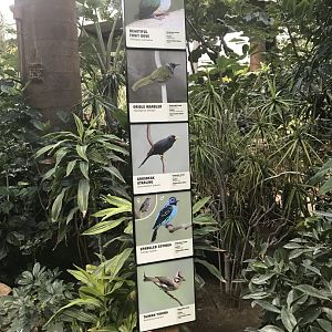 Tropics Exhibit Signage