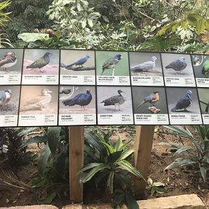 Additional Tropics Signage