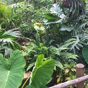 Vestibule between Australia & South America walkthrough exhibits.