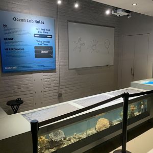 July 2020- Marine Lab
