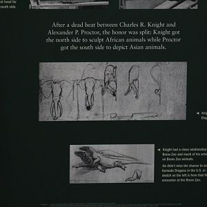 Knight's Sketch Sign