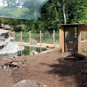 Giant Otter Enclosure