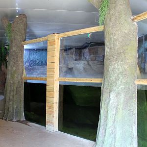 Giant Otter Indoor Enclosure