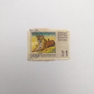Panthera pardus fusca - Postage stamp Sri Lanka