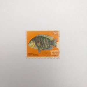 Etroplus suratensis - Postage stamp Sri Lanka