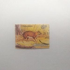 Tragulus javanicus - Postage stamp Malaysia