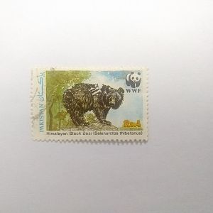 Himalayan black bear - Postage stamp Pakistan