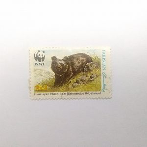 Himalayan black bear - Postage stamp Pakistan