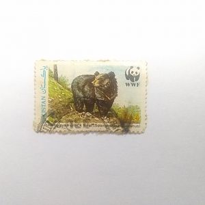 Himalayan black bear - Postage stamp Pakistan