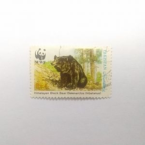 Himalayan black bear - Postage stamp Pakistan