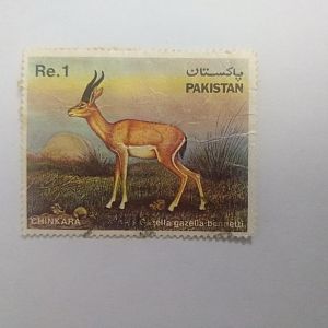 Chinkara - Postage stamp Pakistan