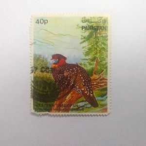 Western tragopan - Postage stamp Pakistan