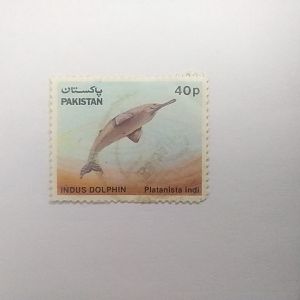 Indus dolphin - Postage stamp Pakistan
