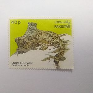 Snow leopard - Postage stamp Pakistan