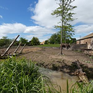 Eastern Black Rhino enclosure