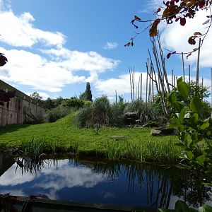 Lion-tailed Macaque enclosure
