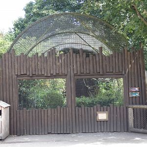 Aviary by Oakfield House
