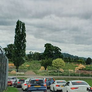 View towards new elephant exhibit