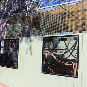 Squirrel Monkey/Agouti Enclosure