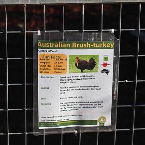 Brush Turkey Sign